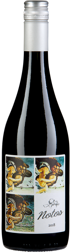 Image of Pablo Fallabrino, Notos 2021