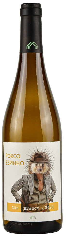 Image of Cas’Amaro, Porco Espinho Branco 2023