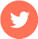 Twitter icon in Vinebud colors